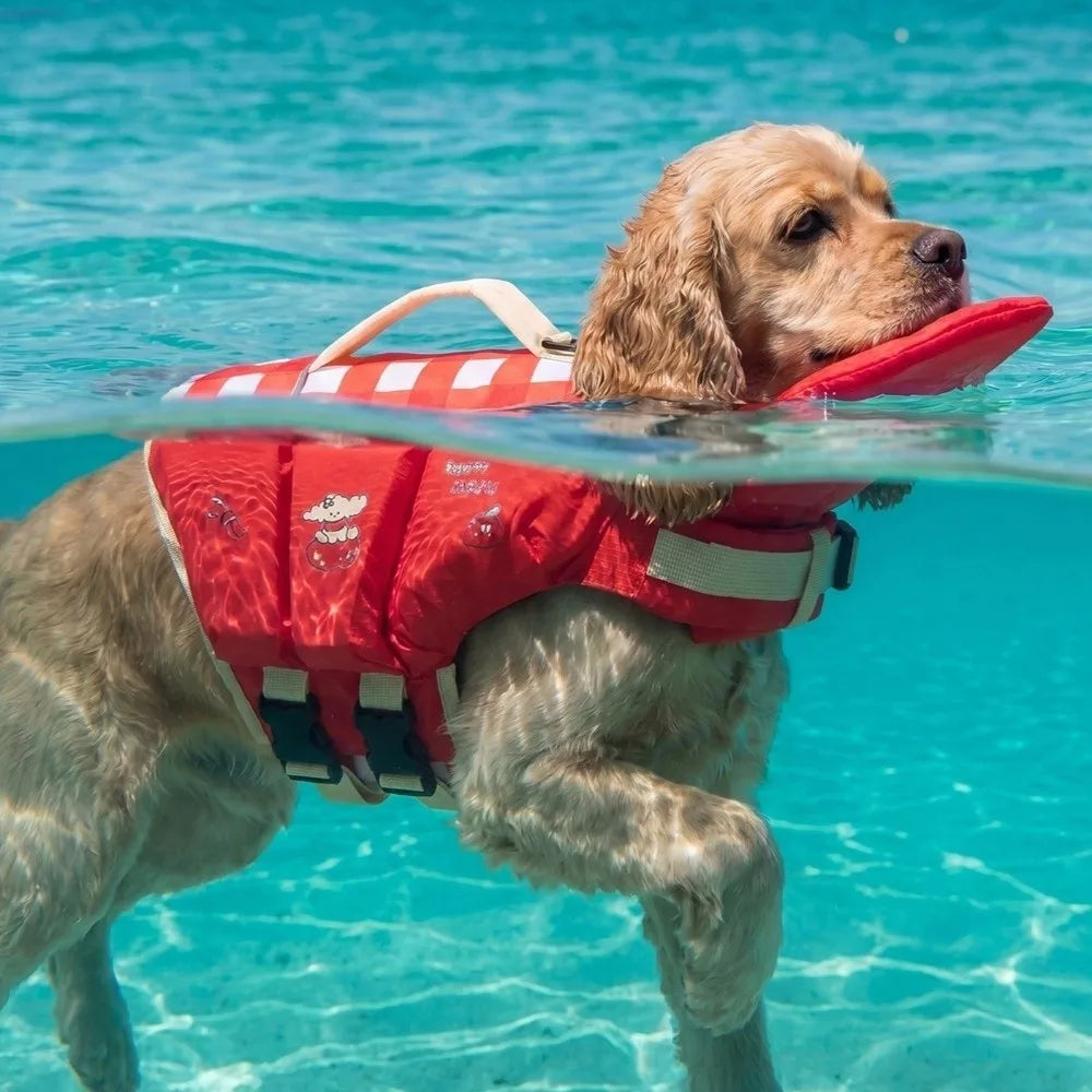 PawFloat™ Adjustable Dog Flotation Vest