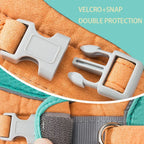 Reflective Pet Harness & Leash Set