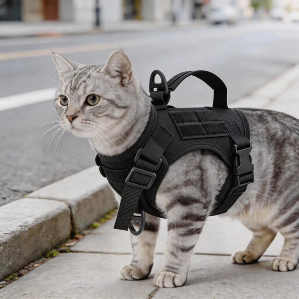 Tactical Cat Harness — Harness Only or Leash Set