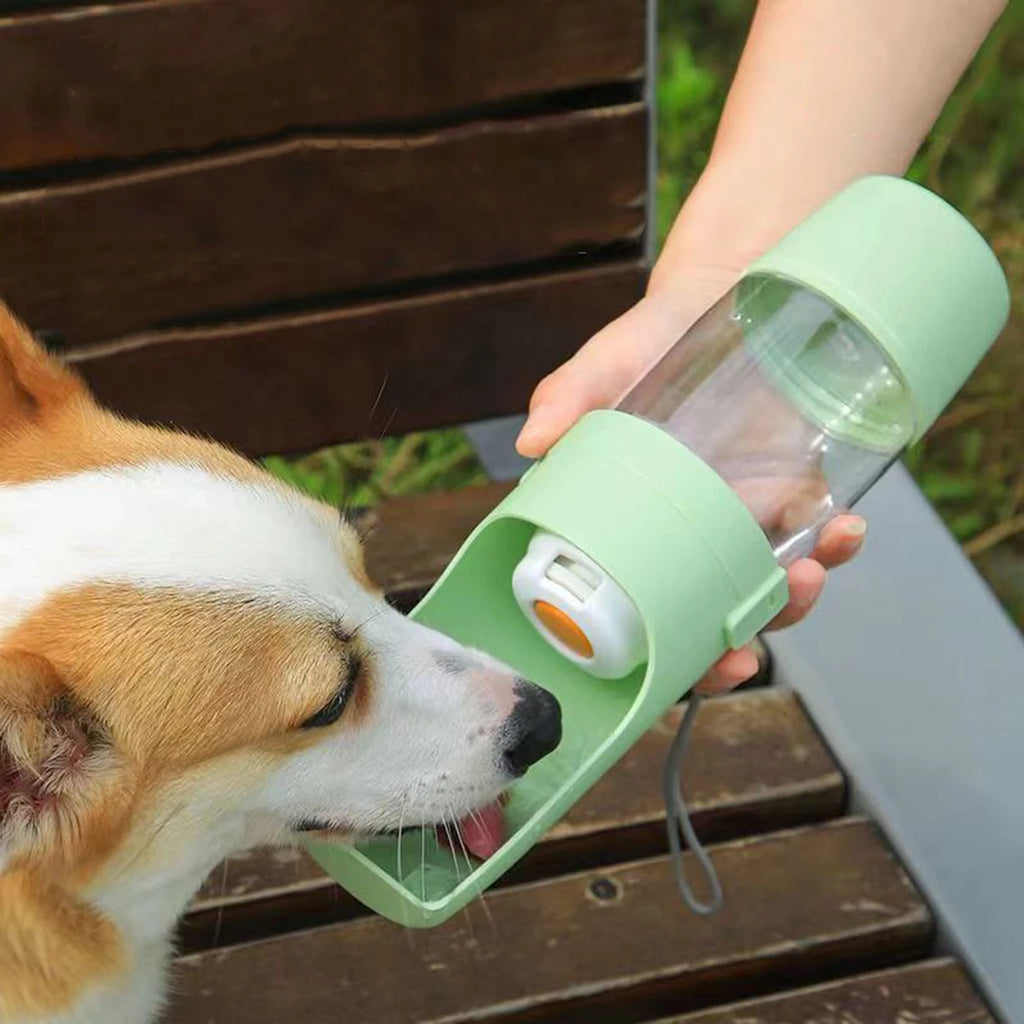 Green pet travel bottle being used to offer water to a dog