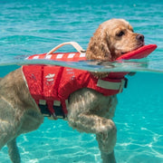 PawFloat™ Adjustable Dog Flotation Vest