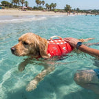 PawFloat™ Adjustable Dog Flotation Vest